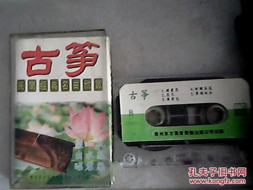 唱片与通讯音像 从文化生活到收藏杂项的复调叙事
